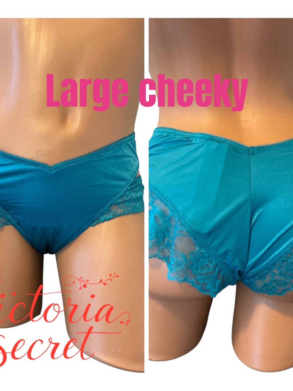 Victoria's Secret Turquoise Lace-Trim Large Cheeky Panty